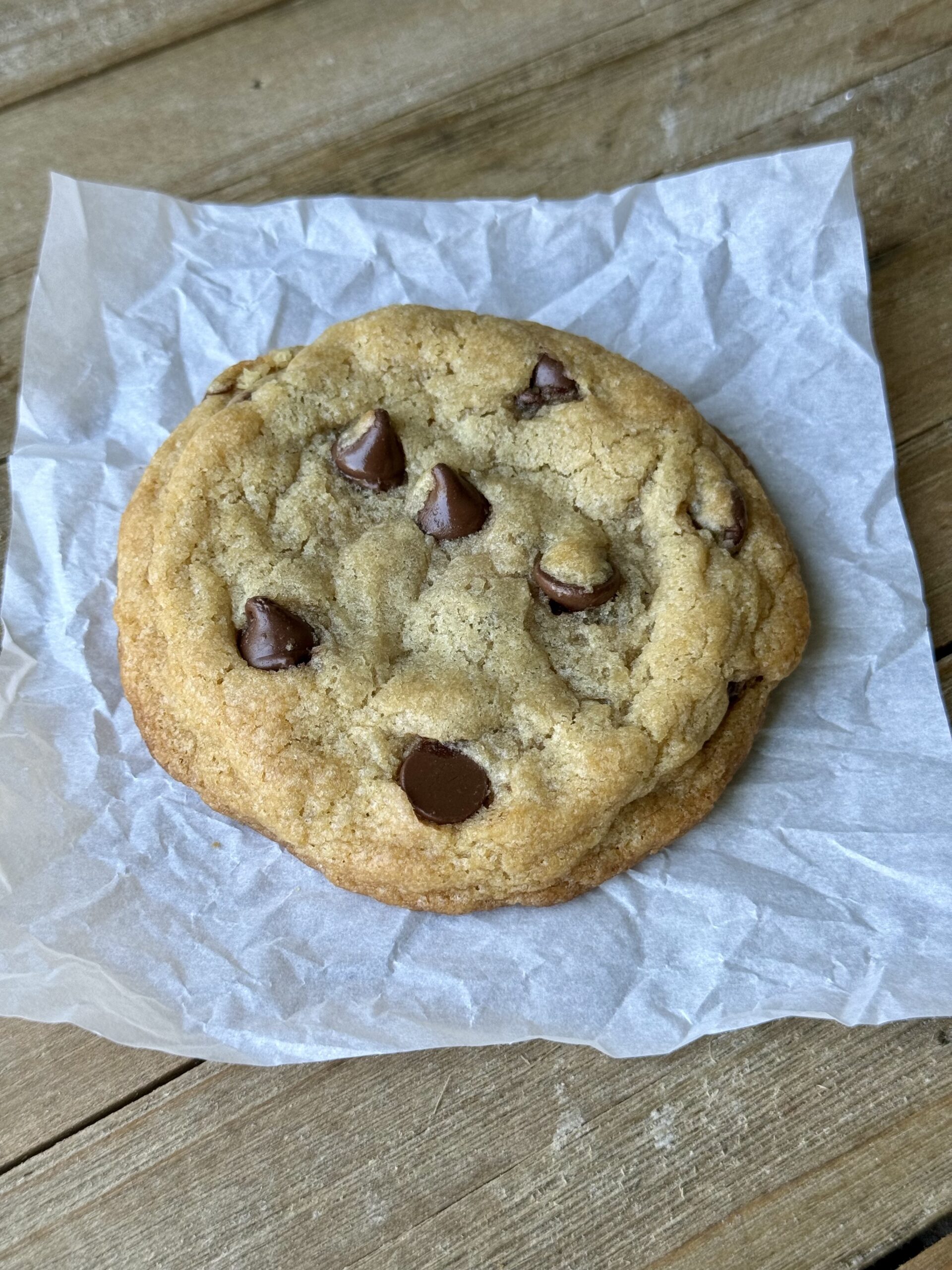 One Chocolate Chip Cookie